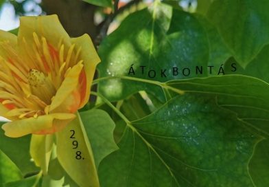 Átokbontás – ReLoaded 298.- a Közös Hang Rádióban, 2025.06.05. 18.00