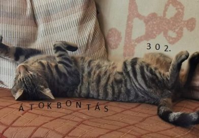 Átokbontás – ReLoaded 302.- a Közös Hang Rádióban, 2025.07.03. 18.00