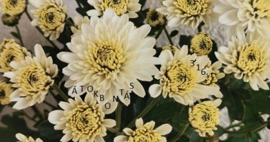 Átokbontás – ReLoaded 316.- a Közös Hang Rádióban, 2025.10.30. 18.00 (Cs, P, Sz 18h)