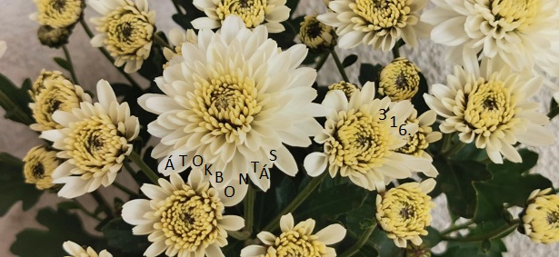 Átokbontás – ReLoaded 316.- a Közös Hang Rádióban, 2025.10.30. 18.00 (Cs, P, Sz 18h)