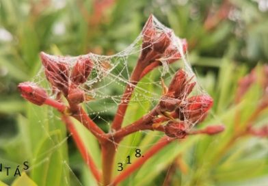 Átokbontás – ReLoaded 318.- a Közös Hang Rádióban, 2025.11.20. 18.00