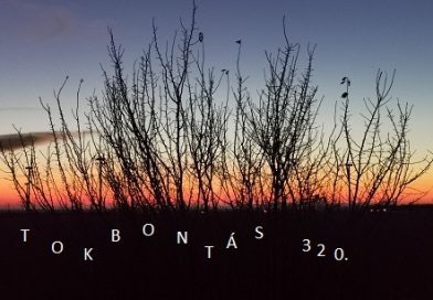 Átokbontás – ReLoaded 320.- a Közös Hang Rádióban, 2025.12.05. 18.00 (P, Sz, v 18h)