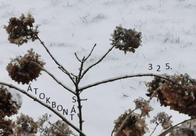 Átokbontás – ReLoaded 325.- a Közös Hang Rádióban, 2026.01.15. 18.00