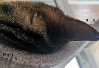 Átokbontás – ReLoaded 326.- a Közös Hang Rádióban, 2026.01.22. 18.00