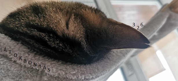 Átokbontás – ReLoaded 326.- a Közös Hang Rádióban, 2026.01.22. 18.00