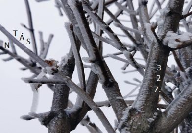 Átokbontás – ReLoaded 327.- a Közös Hang Rádióban, 2026.01.29. 18.00