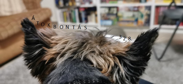 Átokbontás – ReLoaded 328.- a Közös Hang Rádióban, 2026.02.05. 18.00