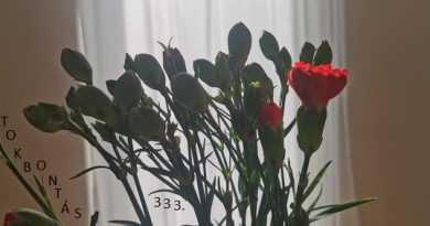 Átokbontás – ReLoaded 333.- 2026.03.12. (+ P, SZ V) 18.00