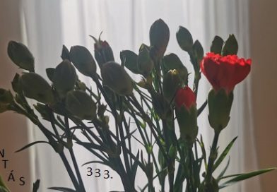 Átokbontás – ReLoaded 333.- 2026.03.12. (+ P, SZ V) 18.00