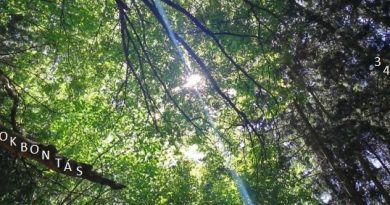 Átokbontás – ReLoaded 343.- a Közös Hang Rádióban, 2026.06.11. 18.00 (+P, SZ, V 18h)