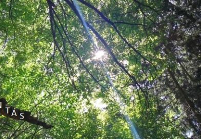 Átokbontás – ReLoaded 343.- a Közös Hang Rádióban, 2026.06.11. 18.00 (+P, SZ, V 18h)