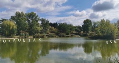 Átokbontás – ReLoaded 356.- a Közös Hang Rádióban, 2026.09.24. 18.00 (+P, Sz, V 18h)