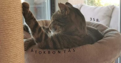 Átokbontás – ReLoaded 358.- a Közös Hang Rádióban, 2026.10.08. 18.00 (+P, Sz, V 18h)