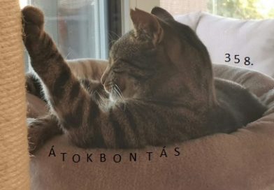 Átokbontás – ReLoaded 358.- a Közös Hang Rádióban, 2026.10.08. 18.00 (+P, Sz, V 18h)