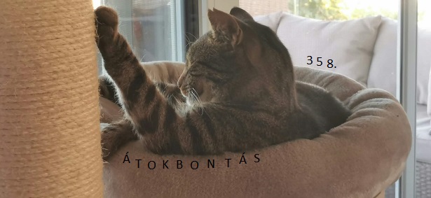 Átokbontás – ReLoaded 358.- a Közös Hang Rádióban, 2026.10.08. 18.00 (+P, Sz, V 18h)